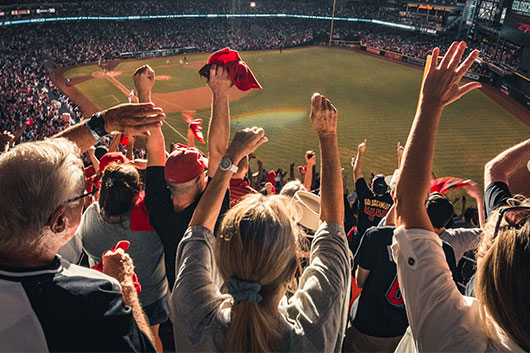 people cheering in a stadium