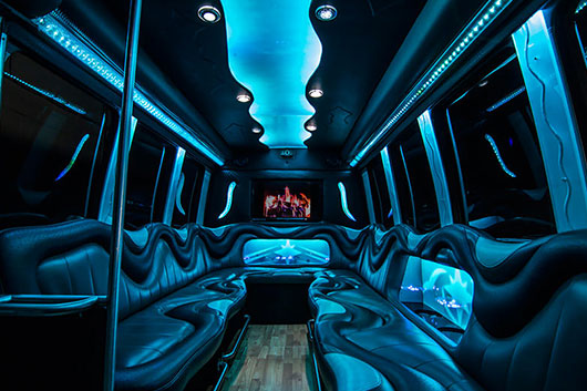 party bus cape coral interior