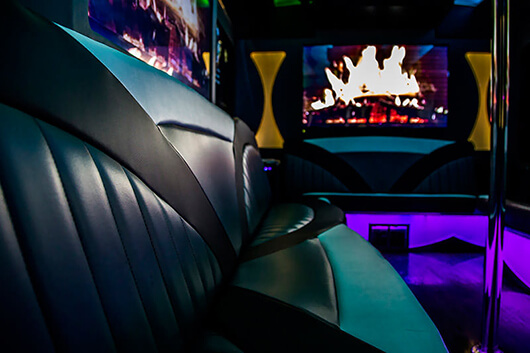 20 passenger party bus lounge