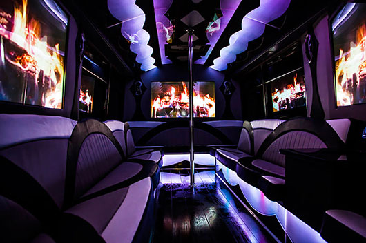 surround sound system on a party bus rental